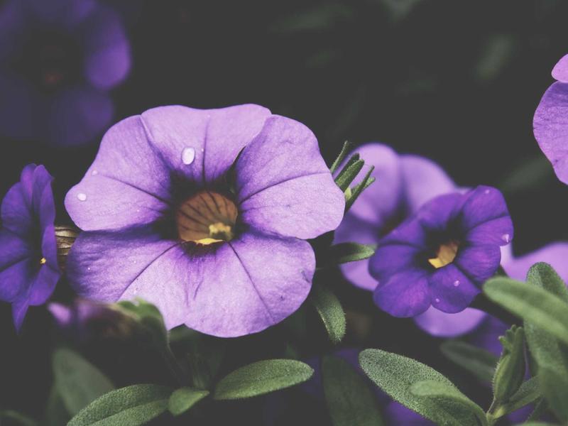 sudoku technique mastery screenshot 1